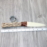 Cholla Cactus Wood Handle Bone Blade Ornamental Knife #4364    Mountain Man Knife