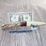 Cholla Cactus Wood Handle Bone Blade Ornamental Knife #4364    Mountain Man Knife