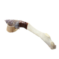 Reindeer Antler Crown Handle Stone Blade Ornamental Knife #1846 Mountain Man Knife