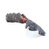 Impala Horn Handle Stone Blade Ornamental Knife #9464    Mountain Man Knife