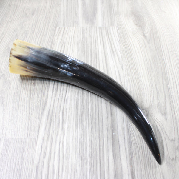 1 Polished Cow Horn #5955    Natural Colored