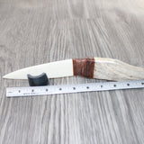 Moose Antler Handle Bone Blade Ornamental Knife #12364    Mountain Man Knife