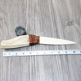 Moose Antler Handle Bone Blade Ornamental Knife #12364    Mountain Man Knife