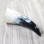 1 Small Polished Cow Horn #5055 Natural Colored