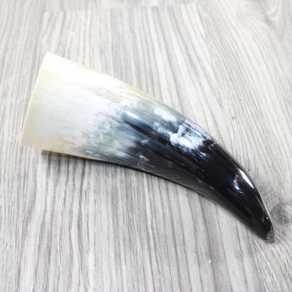 1 Small Polished Cow Horn #5055 Natural Colored