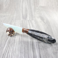 Orthoceras Fossil Handle Opalite Blade Ornamental Knife #0055     Mountain Man Knife