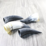 4 Small Raw Unfinished Cow Horns #7156   Natural Colored