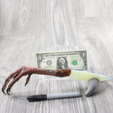 Turkey Foot Handle Opalite Blade Ornamental Knife #1156     Mountain Man Knife