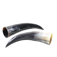 2 Polished Cow Horns #1156    Natural colored