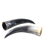 2 Polished Cow Horns #1156    Natural colored