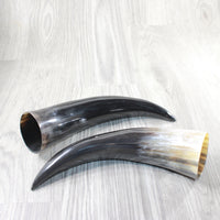 2 Polished Cow Horns #1156    Natural colored