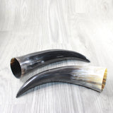 2 Polished Cow Horns #1156    Natural colored