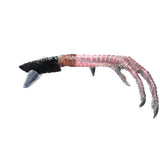 Turkey Foot Handle Obsidian Blade Ornamental Knife #1664  Mountain Man Knife