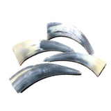 4 Small Raw Unfinished Cow Horns #0964   Natural Colored