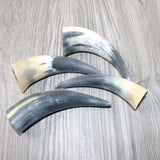 4 Small Raw Unfinished Cow Horns #0964   Natural Colored