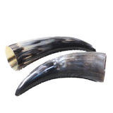 2 Small Polished Cow Horns #9456    Natural colored