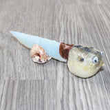 Parrot Puffer Fish Handle Opalite Blade Ornamental Knife #6064     Mountain Man Knife