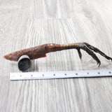 Turkey Foot Handle Stone Blade Ornamental Knife #7656    Mountain Man Knife