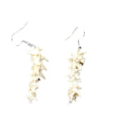 Rattlesnake Vertebrae  Earrings  #4956  Mountain Man Earrings