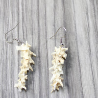 Rattlesnake Vertebrae  Earrings  #4956  Mountain Man Earrings