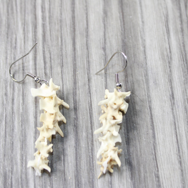 Rattlesnake Vertebrae  Earrings  #4956  Mountain Man Earrings