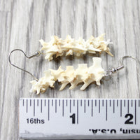 Rattlesnake Vertebrae  Earrings  #4956  Mountain Man Earrings