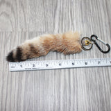 1 Bobcat Tail Key Ring #2264  Taxidermy Keychain Tassel Bag Tag