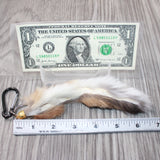 1 Bobcat Tail Key Ring #2264  Taxidermy Keychain Tassel Bag Tag