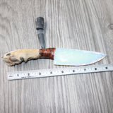 Coyote Foot Handle Opalite Blade Ornamental Knife #9364     Mountain Man Knife