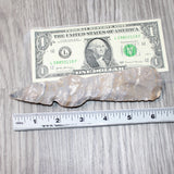 1 Stone Ornamental Tomahawk Head #0364       Agate Jasper Ax Axe Hatchet