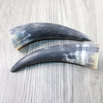 2 Raw Unfinished Cow Horns #2747 Natural Colored