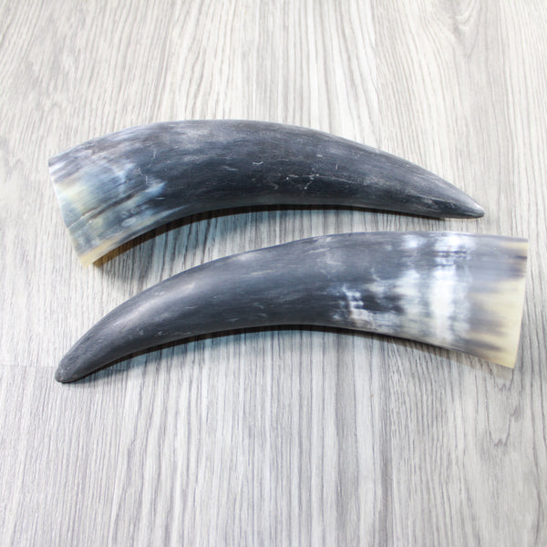 2 Raw Unfinished Cow Horns #2747 Natural Colored