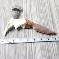 Beaver Jaw Handle Stone Blade Ornamental Knife #1056    Mountain Man Knife