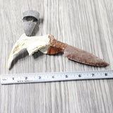 Beaver Jaw Handle Stone Blade Ornamental Knife #1056    Mountain Man Knife