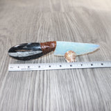 Orthoceras Fossil Handle Opalite Blade Ornamental Knife #0764     Mountain Man Knife