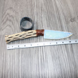 Cholla Cactus Wood Handle Opalite Blade Ornamental Knife #0764     Mountain Man Knife