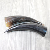 2 Small Polished Cow Horns #9156    Natural colored