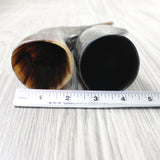2 Small Polished Cow Horns #9156    Natural colored