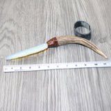 Mule Deer Antler Handle Opalite Blade Ornamental Knife #2864     Mountain Man Knife