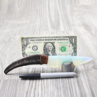 Goat Horn Handle Opalite Blade Ornamental Knife #2156     Mountain Man Knife
