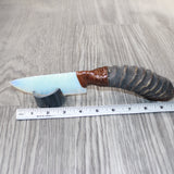Springbok Horn Handle Opalite Blade Ornamental Knife #1064     Mountain Man Knife