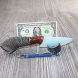 Springbok Horn Handle Opalite Blade Ornamental Knife #1064     Mountain Man Knife