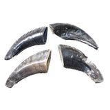4 Small Polished Goat Horns #1356      Natural Colored
