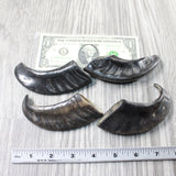 4 Small Polished Goat Horns #1356      Natural Colored