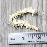 Rattlesnake Vertebrae  Earrings  #4556   Mountain Man Earrings