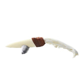 Coyote Jaw Handle Bone Blade Ornamental Knife #1656    Mountain Man Knife
