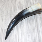 1 Polished Cow Horn #565    Natural Colored