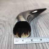 1 Polished Cow Horn #565    Natural Colored