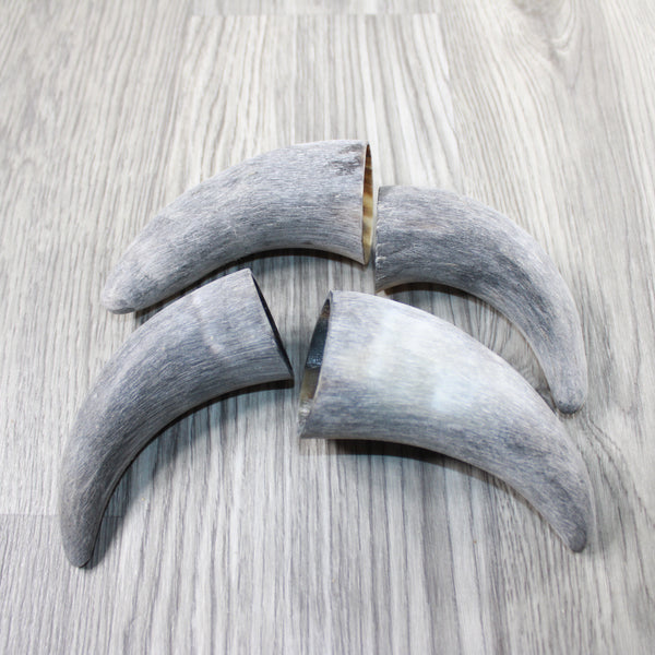 4 Raw Unfinished Cow Horn Tips #1547 Natural Colored
