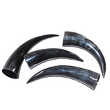 4 Polished Cow Horns #165    Natural colored